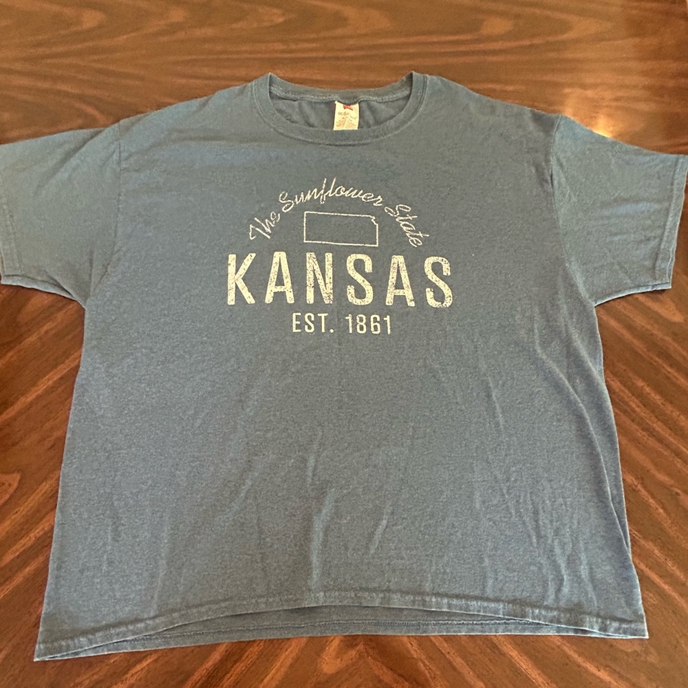 Hanes EcoSmart Blue T-Shirt